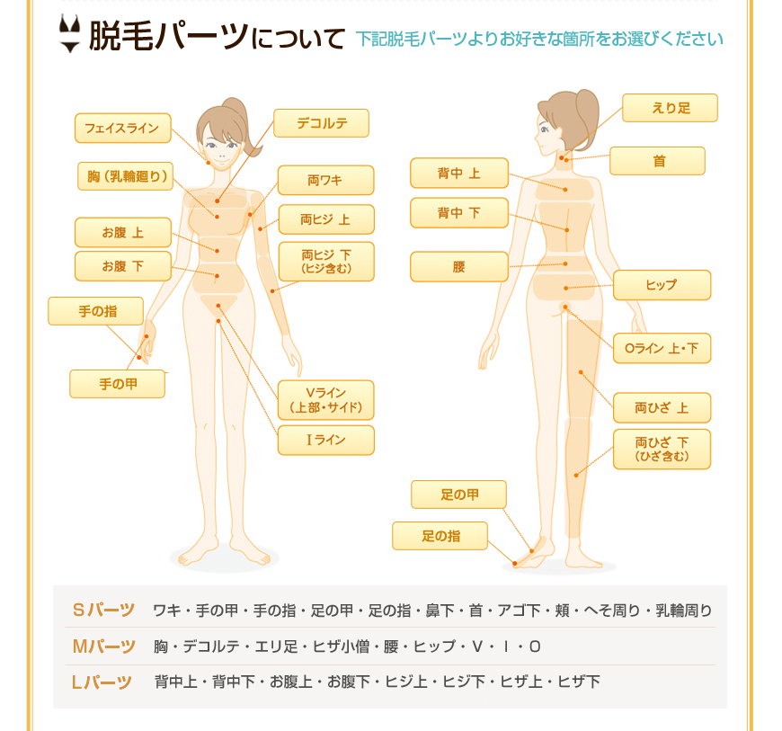 脱毛パーツ